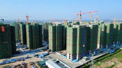 規范建設鑄精品 市優榮譽顯實力——隨州產投集團以高標準管理打造卓越工程項目